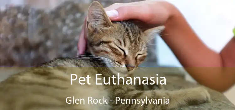 Pet Euthanasia Glen Rock - Pennsylvania