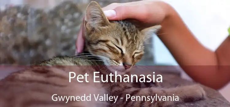 Pet Euthanasia Gwynedd Valley - Pennsylvania