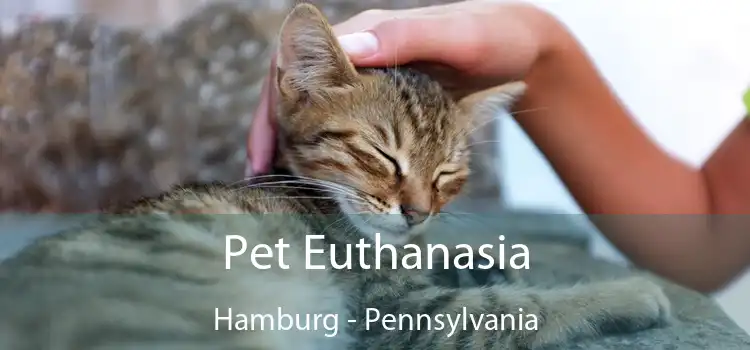 Pet Euthanasia Hamburg - Pennsylvania