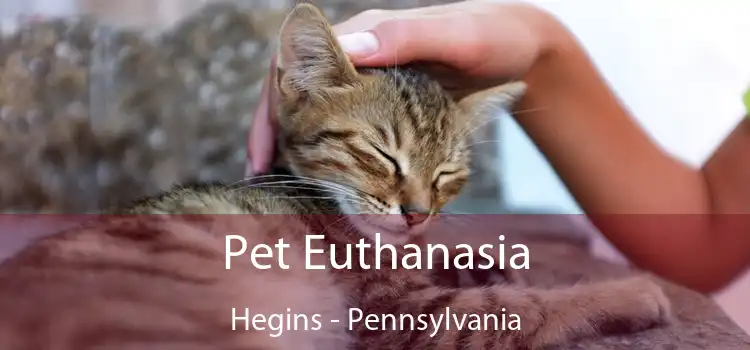 Pet Euthanasia Hegins - Pennsylvania