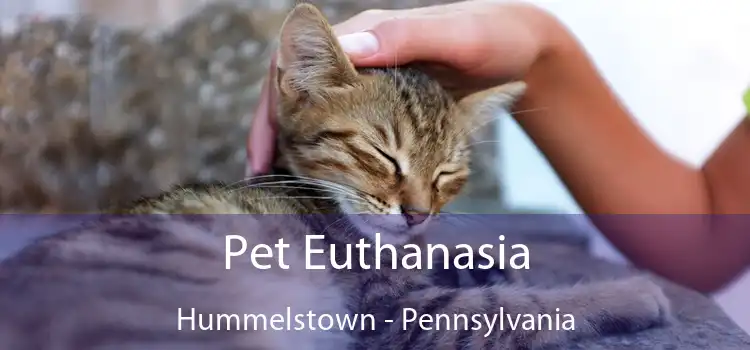 Pet Euthanasia Hummelstown - Pennsylvania