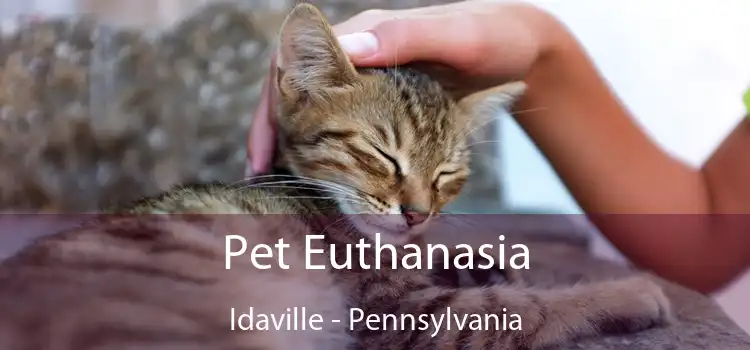 Pet Euthanasia Idaville - Pennsylvania