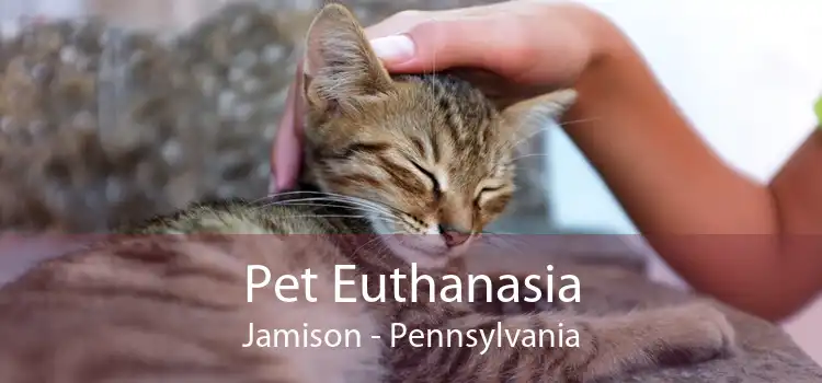 Pet Euthanasia Jamison - Pennsylvania