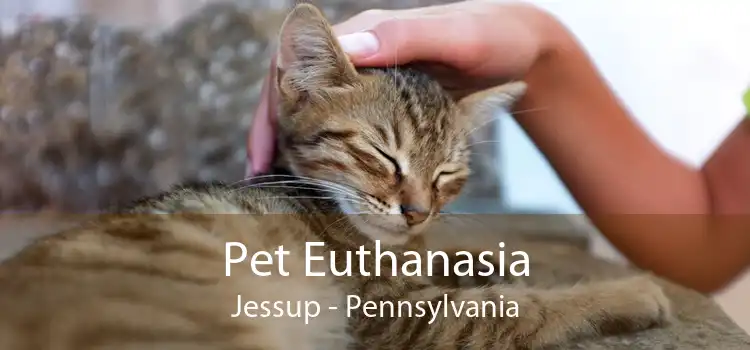 Pet Euthanasia Jessup - Pennsylvania