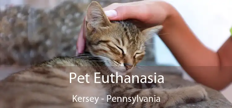 Pet Euthanasia Kersey - Pennsylvania