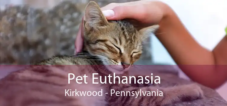 Pet Euthanasia Kirkwood - Pennsylvania