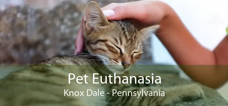 Pet Euthanasia Knox Dale - Pennsylvania