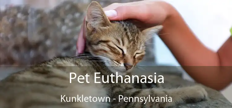 Pet Euthanasia Kunkletown - Pennsylvania