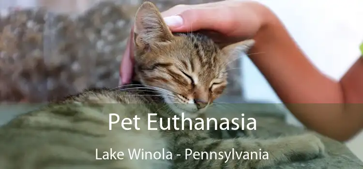 Pet Euthanasia Lake Winola - Pennsylvania