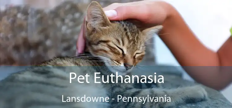 Pet Euthanasia Lansdowne - Pennsylvania
