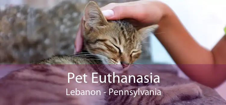 Pet Euthanasia Lebanon - Pennsylvania