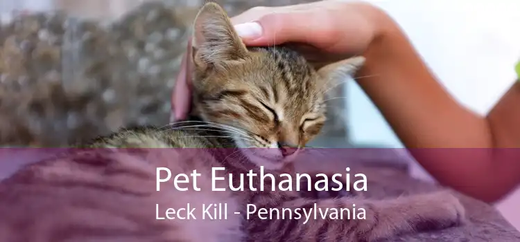Pet Euthanasia Leck Kill - Pennsylvania