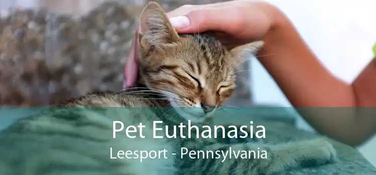 Pet Euthanasia Leesport - Pennsylvania