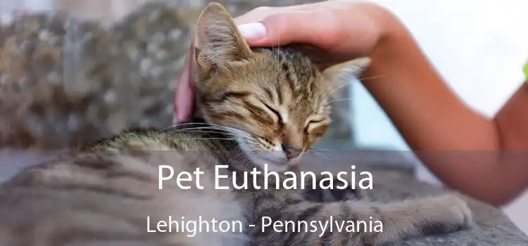 Pet Euthanasia Lehighton - Pennsylvania