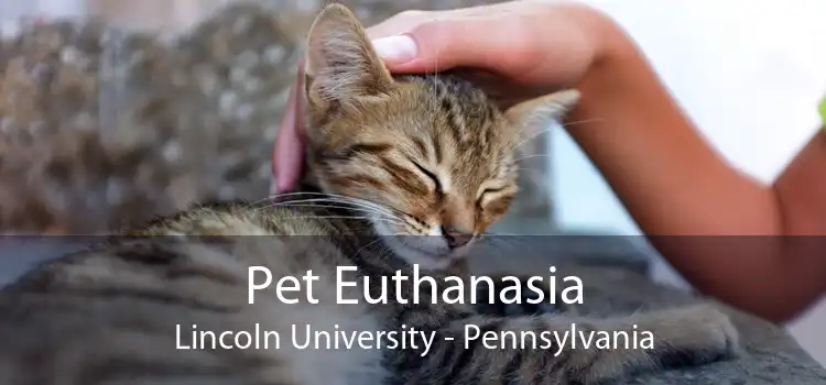 Pet Euthanasia Lincoln University - Pennsylvania