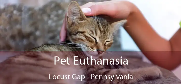 Pet Euthanasia Locust Gap - Pennsylvania