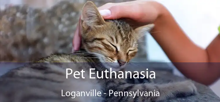 Pet Euthanasia Loganville - Pennsylvania