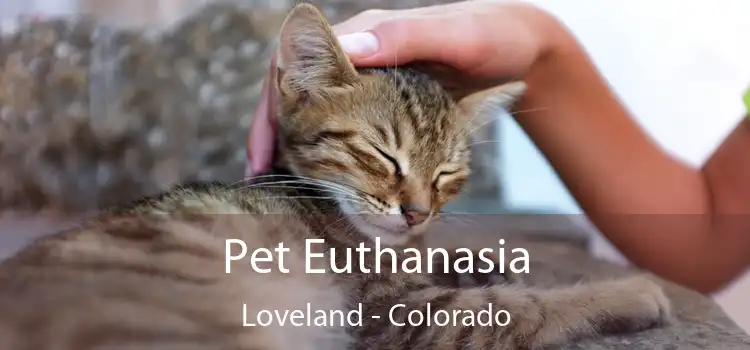 Pet Euthanasia Loveland - Colorado