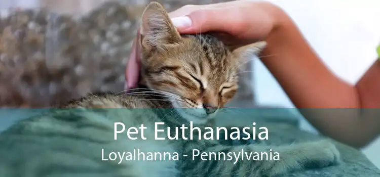Pet Euthanasia Loyalhanna - Pennsylvania