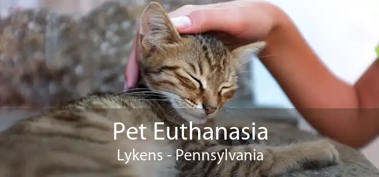 Pet Euthanasia Lykens - Pennsylvania