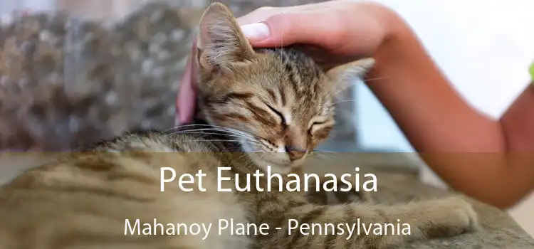 Pet Euthanasia Mahanoy Plane - Pennsylvania