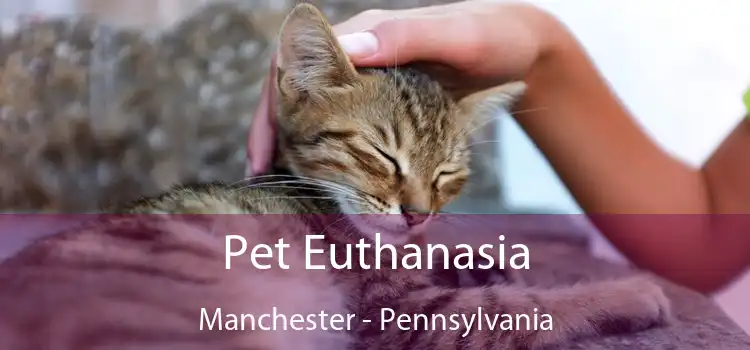 Pet Euthanasia Manchester - Pennsylvania