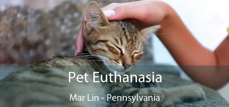 Pet Euthanasia Mar Lin - Pennsylvania
