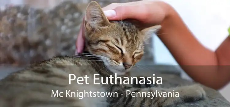 Pet Euthanasia Mc Knightstown - Pennsylvania