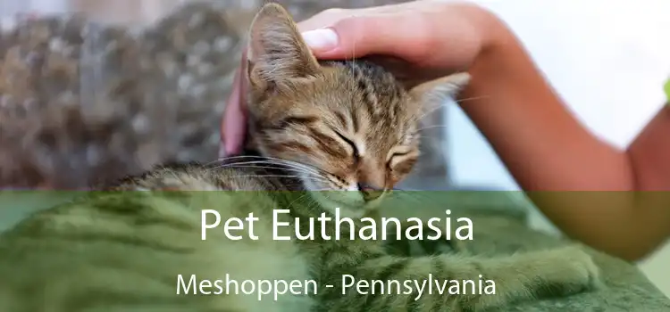 Pet Euthanasia Meshoppen - Pennsylvania
