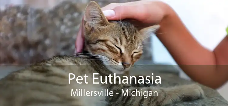 Pet Euthanasia Millersville - Michigan