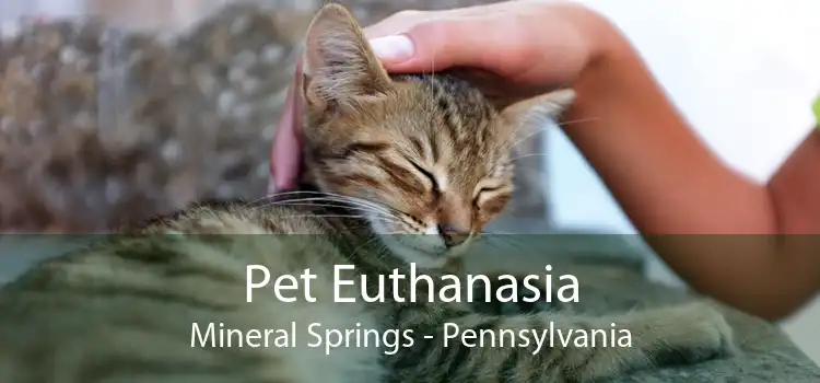 Pet Euthanasia Mineral Springs - Pennsylvania