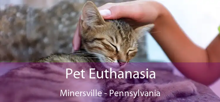Pet Euthanasia Minersville - Pennsylvania