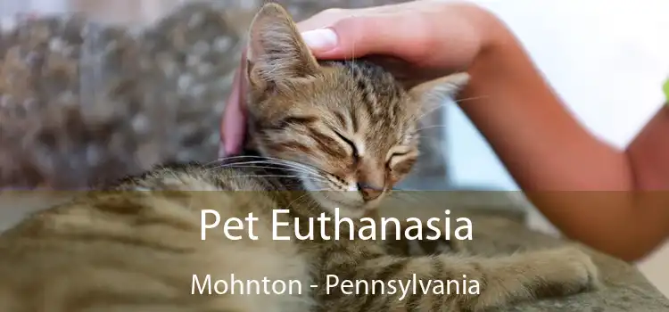 Pet Euthanasia Mohnton - Pennsylvania