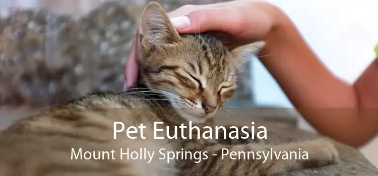 Pet Euthanasia Mount Holly Springs - Pennsylvania