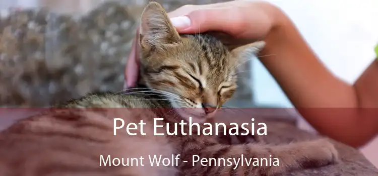 Pet Euthanasia Mount Wolf - Pennsylvania