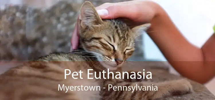 Pet Euthanasia Myerstown - Pennsylvania