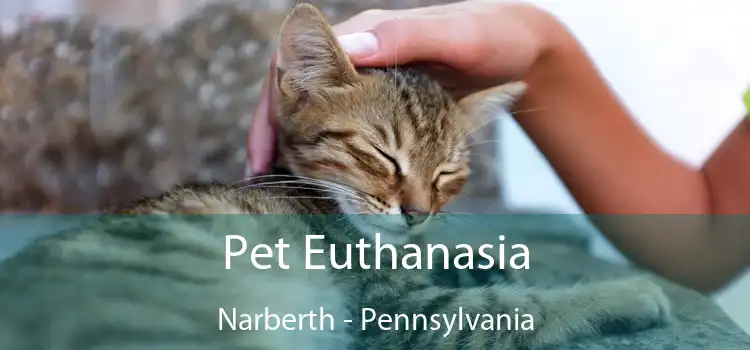 Pet Euthanasia Narberth - Pennsylvania