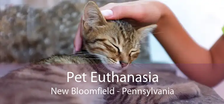 Pet Euthanasia New Bloomfield - Pennsylvania