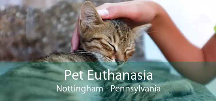 Pet Euthanasia Nottingham - Pennsylvania