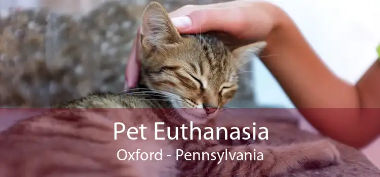 Pet Euthanasia Oxford - Pennsylvania