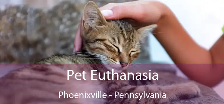 Pet Euthanasia Phoenixville - Pennsylvania