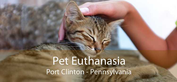 Pet Euthanasia Port Clinton - Pennsylvania