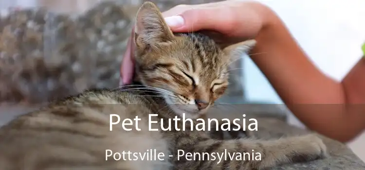 Pet Euthanasia Pottsville - Pennsylvania