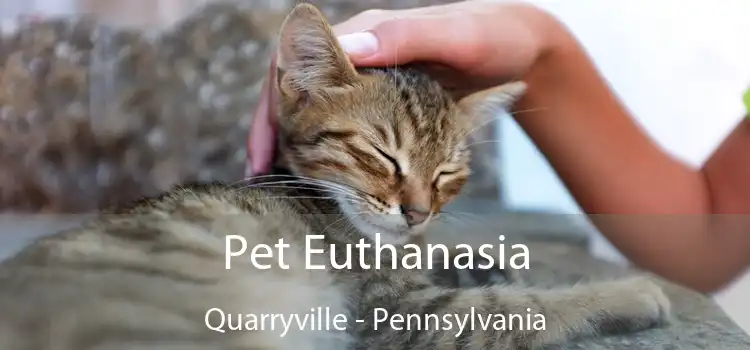 Pet Euthanasia Quarryville - Pennsylvania