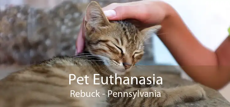 Pet Euthanasia Rebuck - Pennsylvania