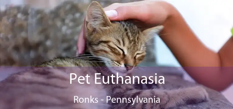 Pet Euthanasia Ronks - Pennsylvania
