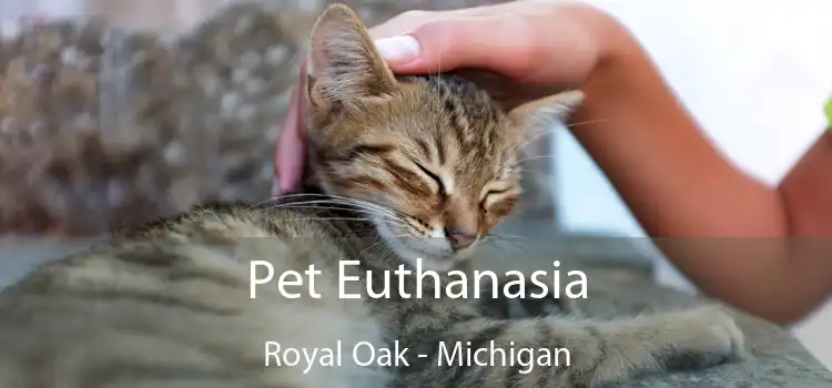 Pet Euthanasia Royal Oak - Michigan