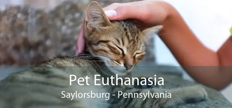 Pet Euthanasia Saylorsburg - Pennsylvania