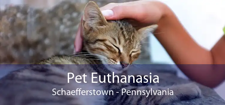Pet Euthanasia Schaefferstown - Pennsylvania