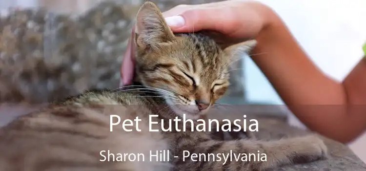 Pet Euthanasia Sharon Hill - Pennsylvania